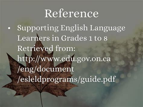 Image result for ESL Program Models