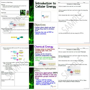 Cellular Energy 10 Day NO PREP Unit Bundle: Lessons, Activities ...