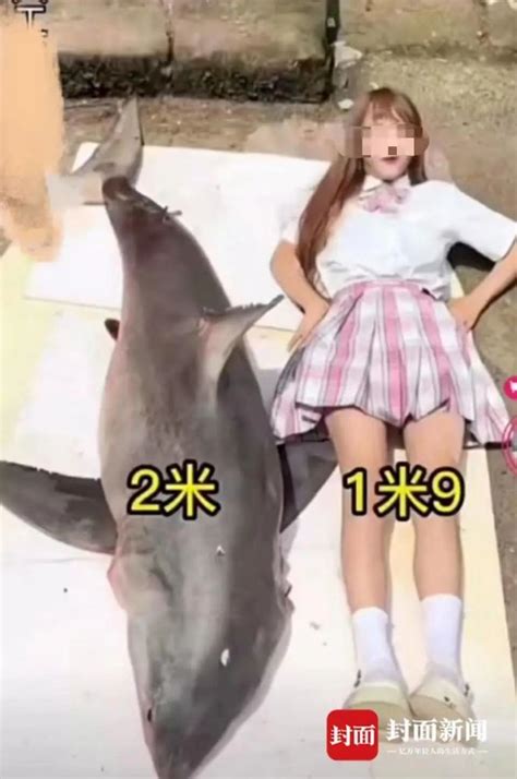 网红烹食大白鲨，被罚12.5万元！还有两人被逮捕_腾讯新闻