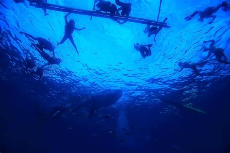 Pessoa em um barco com outra pessoa praticando snorkel ao lado do barco