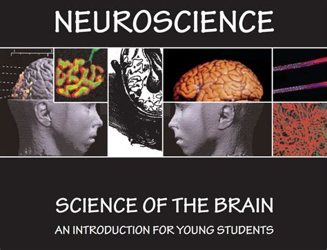 Brain Science.com 的图像结果