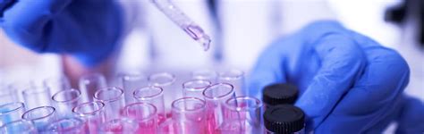 Image result for Directed Evolution Lecture