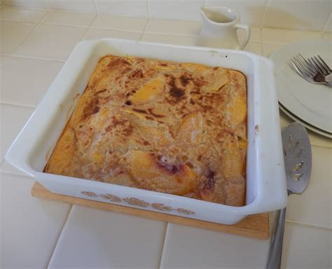 theworldaccordingtoeggface: Premier Protein Peaches and Caramel Baked ...