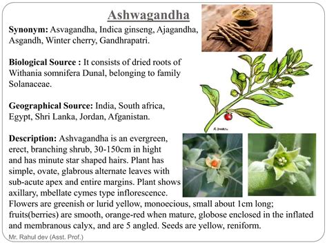 Herbs as Health Food, Herbal Drug Technology-6th semester.pptx