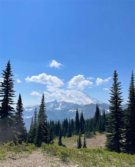 Best Hikes in Mount Rainier National Park - The Planet D