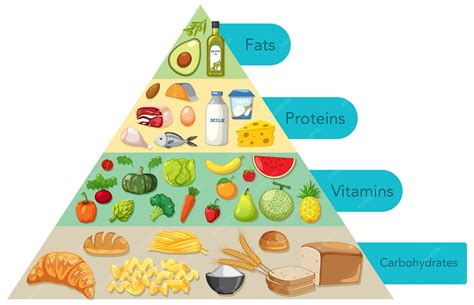 Premium Vector | Nutritional Food Pyramid Illustration