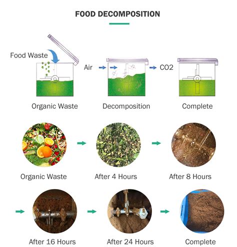 Image result for kitchen waste compost process