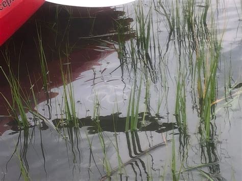 BIG PAPA SUP (2025) All You Need to Know BEFORE You Go (with Photos ...