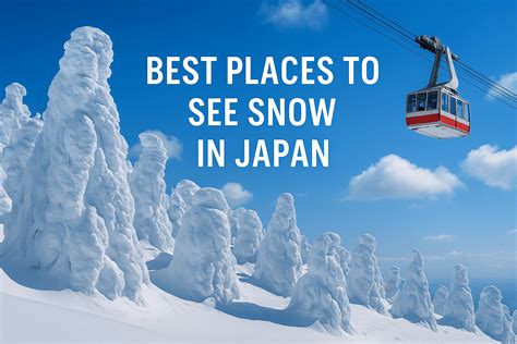 Best Places to See Snow in Japan (Winter 2025/2026 Guide)