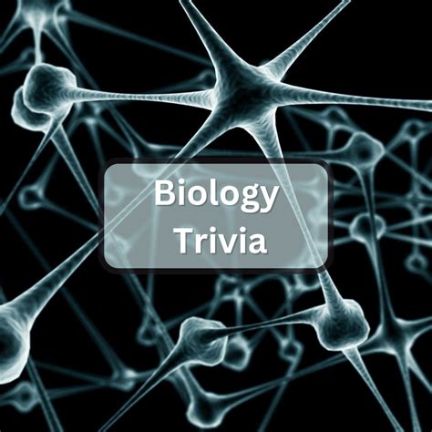 Image result for Trivia Cartoon