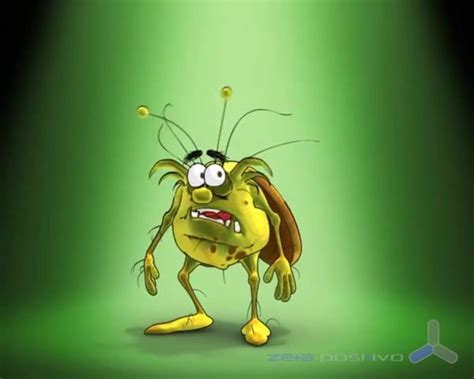 Image result for Raid Animation