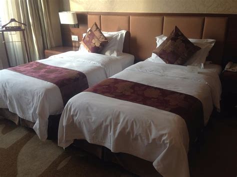 XINCHENG HOTEL (Hohhot, Inner Mongolia) - Hotel Reviews, Photos, Rate ...