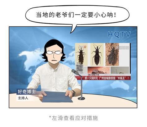 10种最危险的虫子 【国内常见】_哔哩哔哩_bilibili