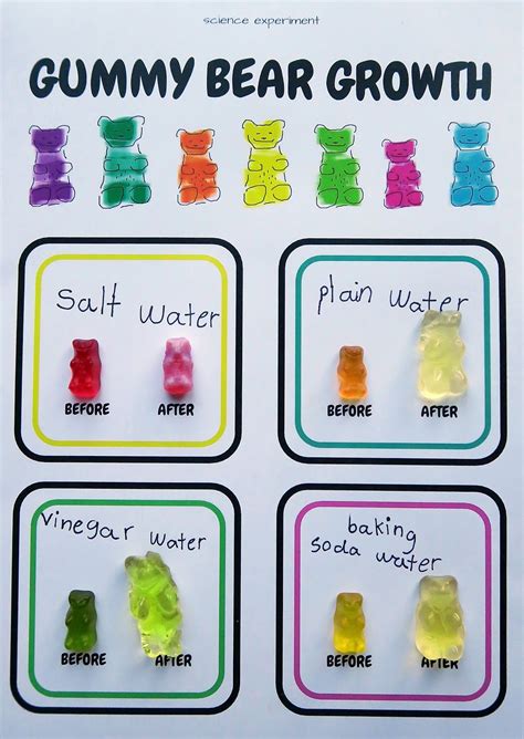 Image result for gummy bear science project | Elementary science ...