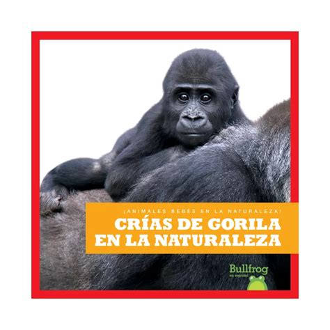Gorilla Infants in the Wild: Baby Animals in Nature India | Ubuy