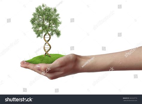 Image result for DNA Tree