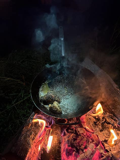 Opening day of dove season spoils in a de buyer pan on a campfire : r ...
