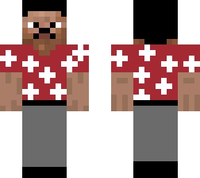 Image result for Minecraft Steve Skin Customization