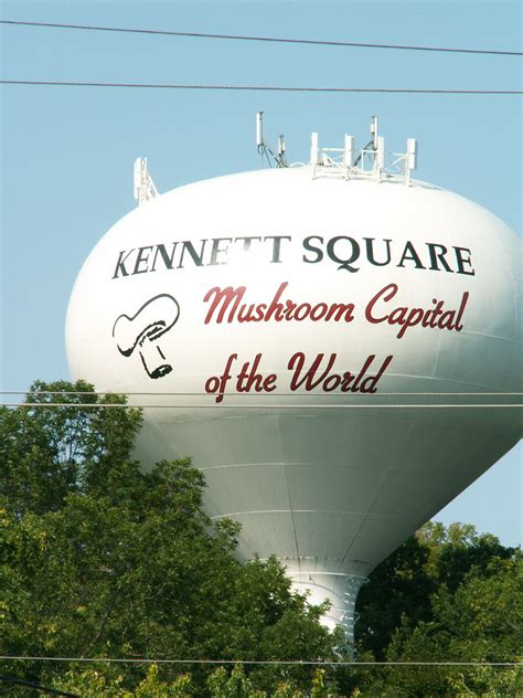 Kennett Square, Pennsylvania | Kennett square, Stuffed mushrooms ...