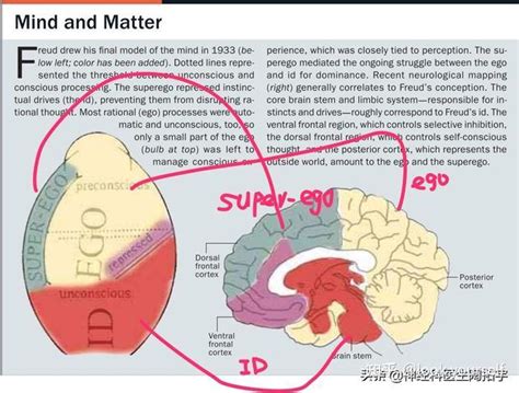 《人格心理学》第二讲，弗洛伊德精神分析理论 1 - 知乎