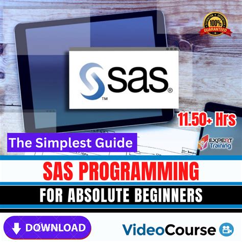 SAS Programming Language for Beginners 的图像结果