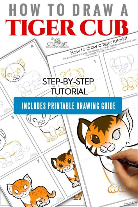 Image result for Tiger Drawing Tutorial
