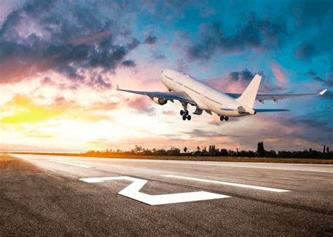 Flight 的图像结果