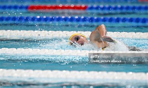 Swimming Olympics 的图像结果