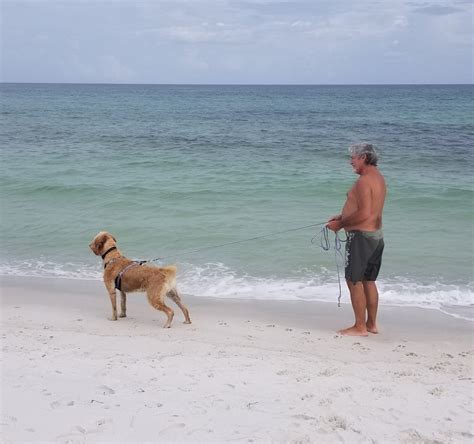 Pensacola Beach East Dog Park: All You Need to Know