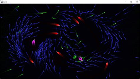 Boids Python 的图像结果