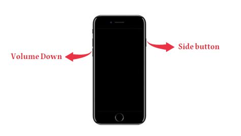 Image result for 6s Plus DFU Mode
