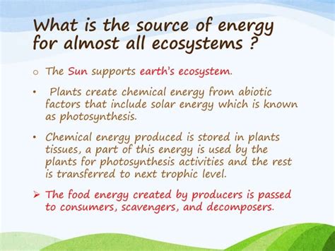 Ecosystem Flow Chart 的图像结果