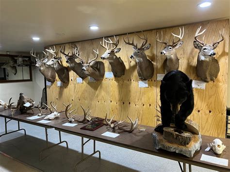 Kewaunee Trap & 3D Archery Club Annual Deer Show & Wild Night Out ...