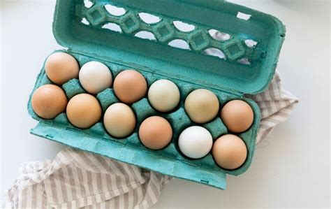 Image result for Multiplicity Lab