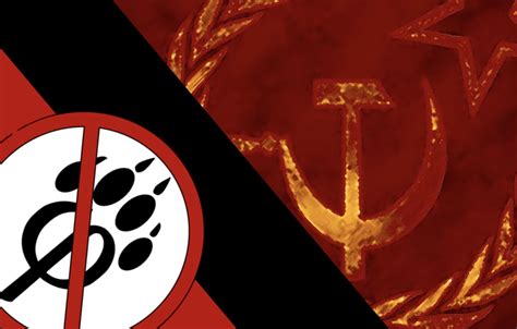🔥 [30+] Anti Furry Flag Wallpapers | WallpaperSafari