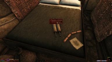 Image result for How to Install Morrowind Script Extender