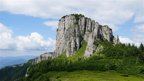 Wallpaper rock, relief, trees, slope, grass hd, picture, image