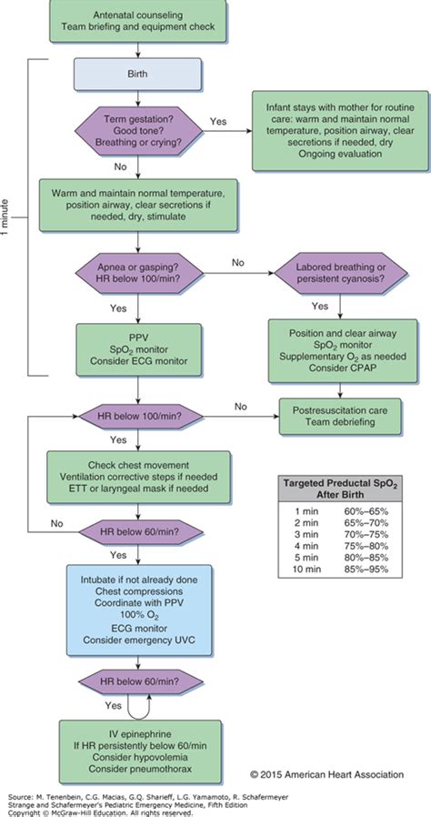 Image result for Newborn Resuscitation Algorithm