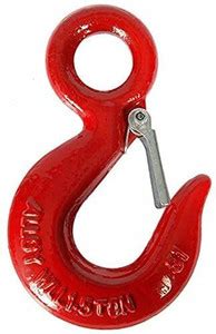 B K Jagan and Co Swivel Hook 1 – Eye Hook with Latch (3 Ton) Stainless ...