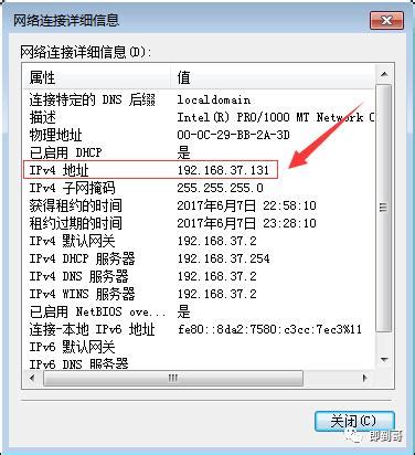 电脑本机ip地址怎么查询？（Windows系统IP地址查询方法） - 路由网