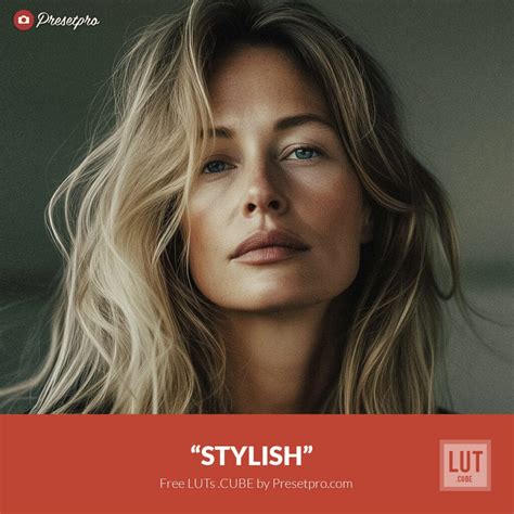 Free LUT | Stylish Color Lookup Table - Presetpro.com