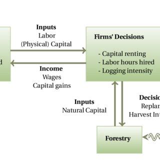 Forestry Model 4 的图像结果