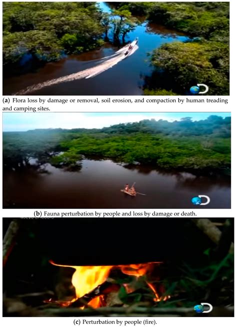 Conflict and Impacts Generated by the Filming of Discovery Channel’s ...
