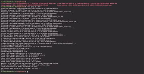 Kernel Install 的图像结果