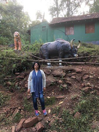 Bhadra Wildlife Sanctuary (Chikmagalur) - 2019 What to Know Before You ...