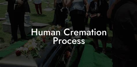 Image result for How Does the Cremation Process Work Step by Step