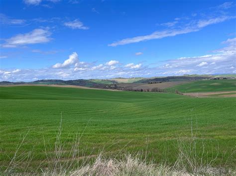 STEFANO ROME DAY TOURS (2026) All You Need to Know BEFORE You Go (with ...