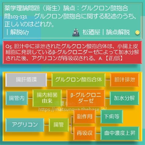 松廼屋｜論点解説 薬剤師国家試験対策ノート問103-131【衛生】論点：代謝 / グルクロン酸抱合 | 松廼屋 Mats.theBASE