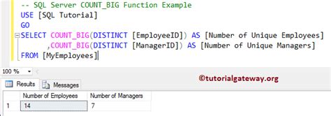 Image result for SQL Code Big