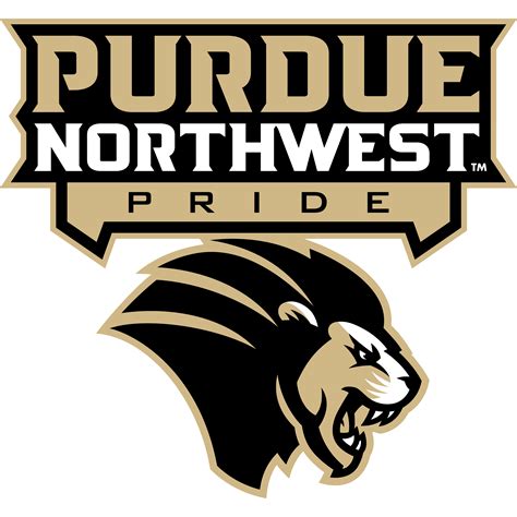 Purdue University Northwest | Men's Basketball | Shop PNW Men's ...